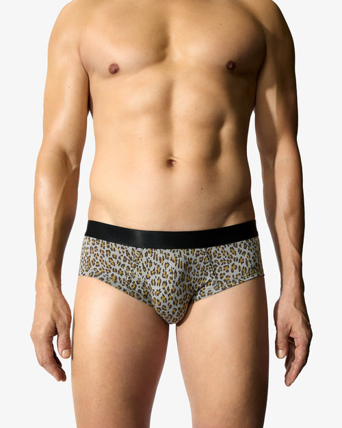 12 × Y - Brief - CDLP