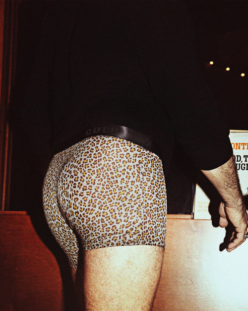 12 × Boxer Brief - CDLP