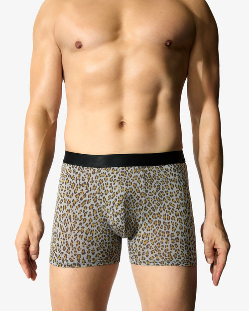 12 × Boxer Brief - CDLP