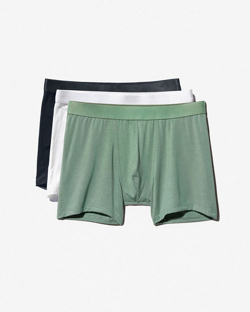 12 × Boxer Brief - CDLP