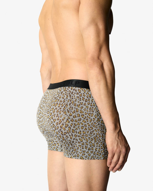 12 × Boxer Brief - CDLP