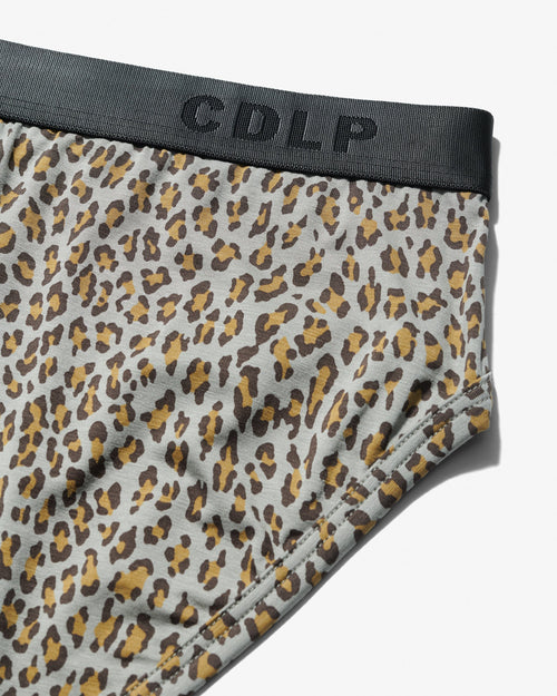 12 × Y - Brief - CDLP