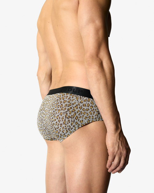 12 × Y - Brief - CDLP