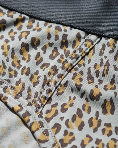 12 × Y - Brief - CDLP