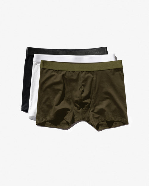 3 × Boxer Brief