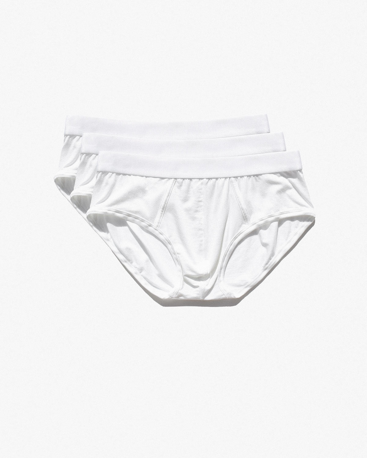 6 x Y - Brief - CDLP