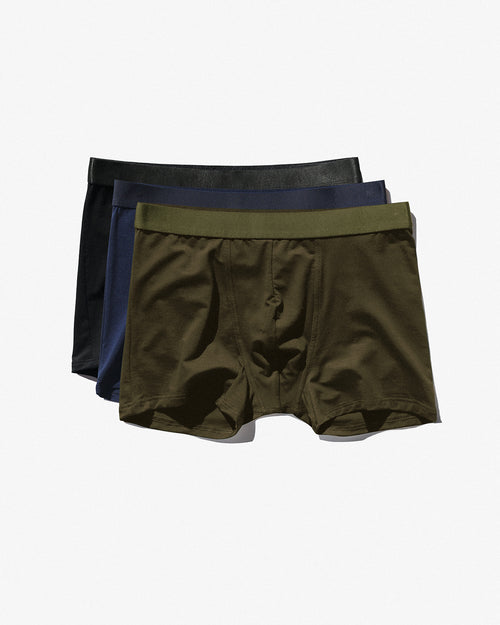 3 × Boxer Brief