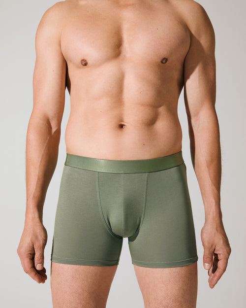 3 × Boxer Brief