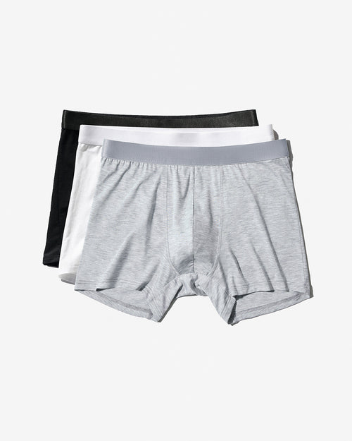 3 × Boxer Brief