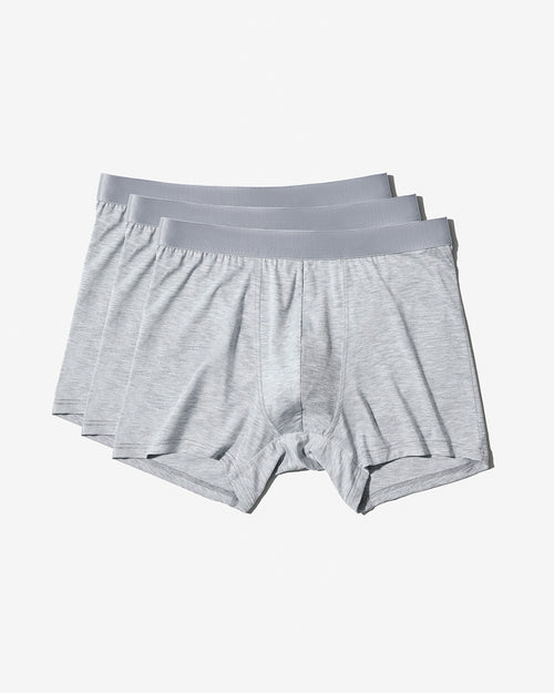 3 × Boxer Brief