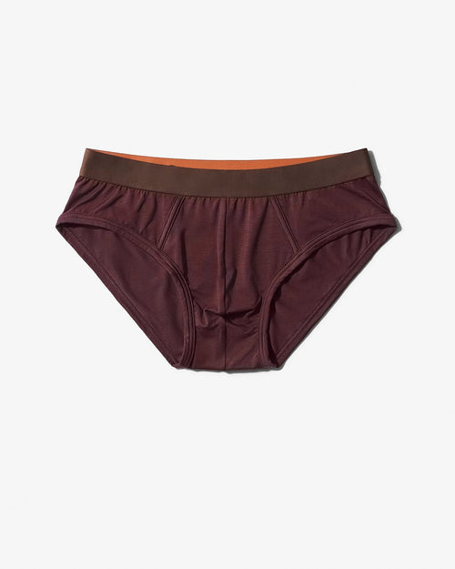 Y-Brief - CDLP