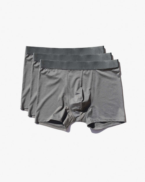 3 × Boxer Brief